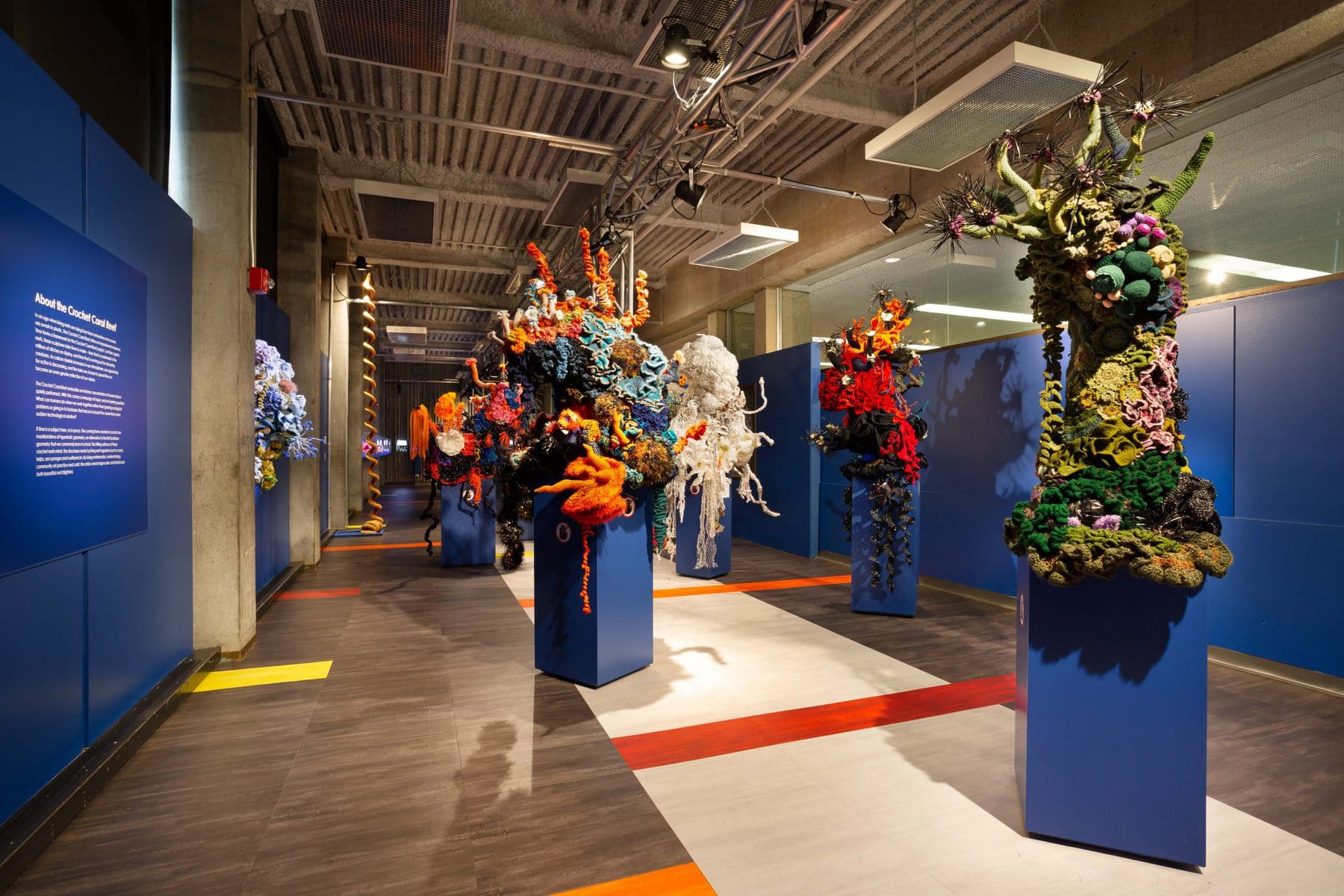 image description: a view of several items in the crochet coral reef exhibition