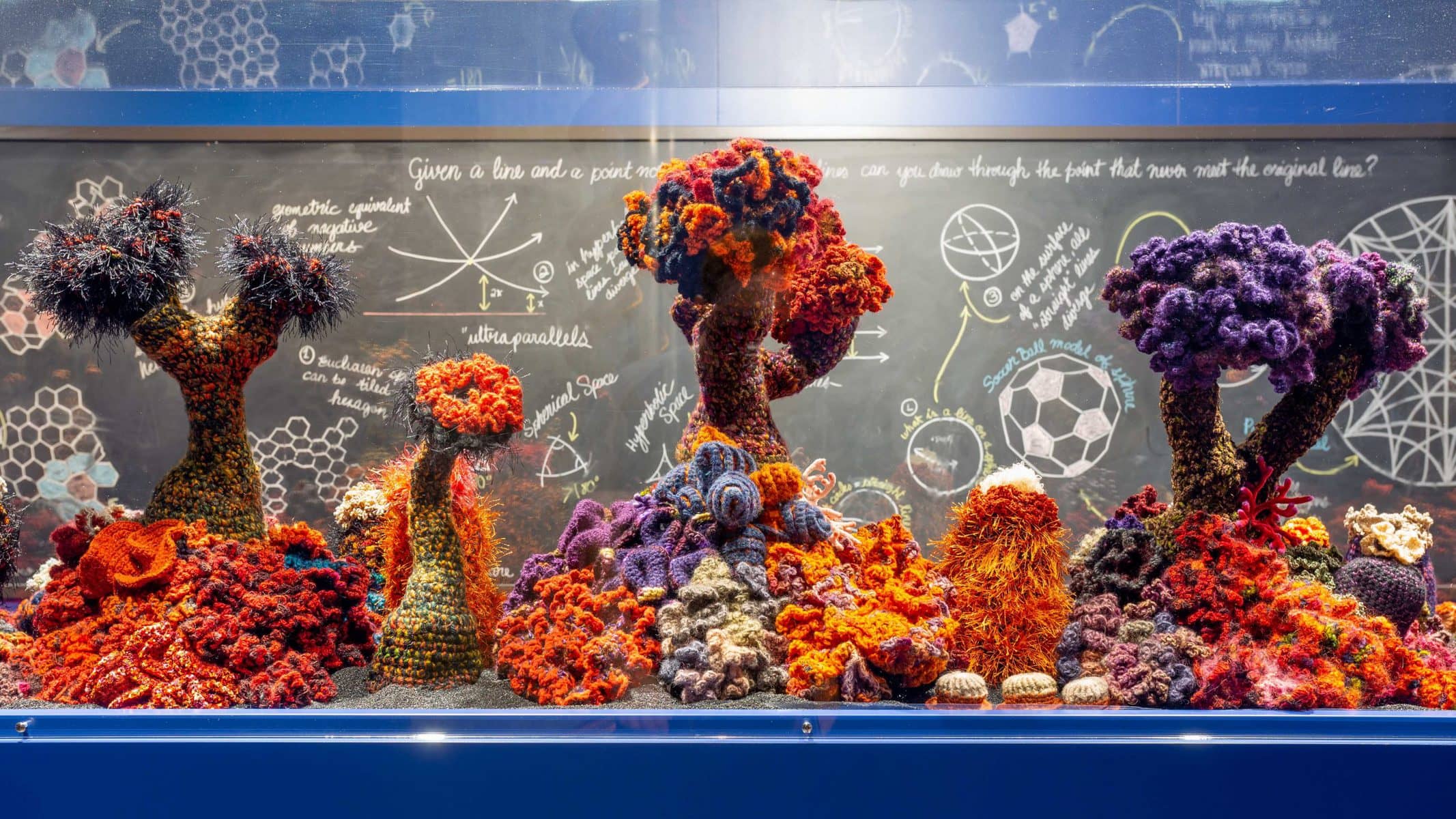 image description: elements of the crocheted coral reef project, colourful crocheted replicas of elements of a coral reef