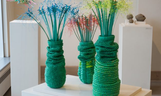 Consumed: The Basketry of Jane Whitten
