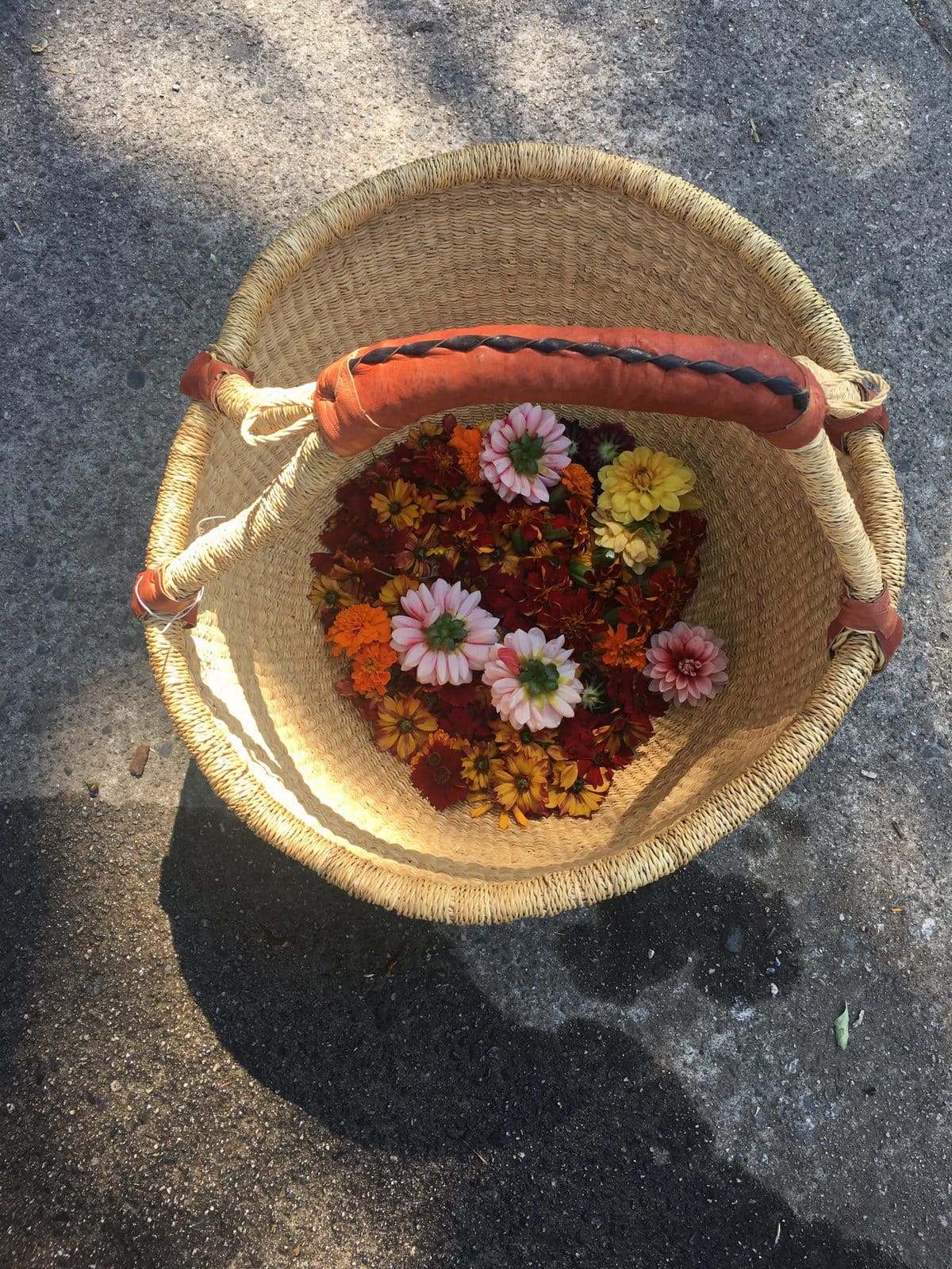 image description: a basket containing freshly-picked flowers and blooms