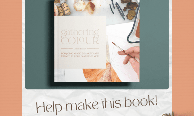 Making a Book About Natural Pigments