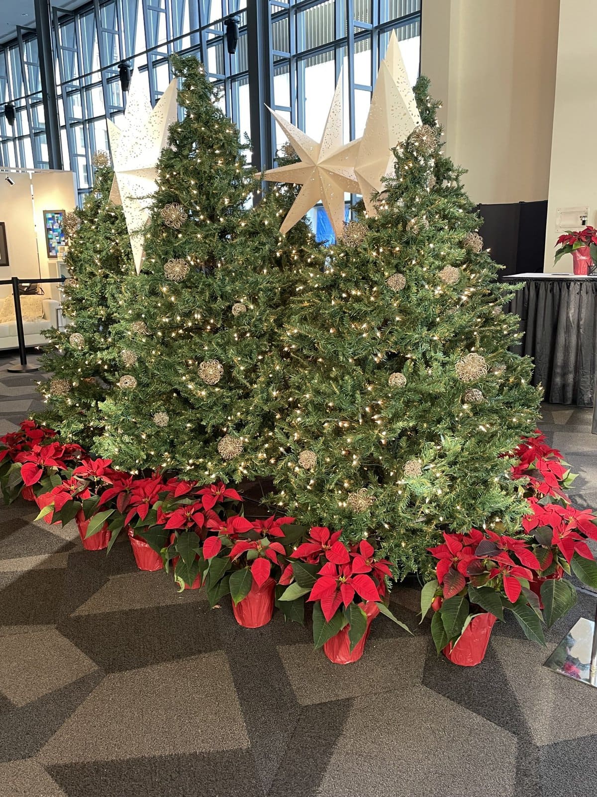 image description: a display of Christmas trees