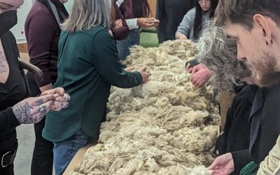 Here’s What Design Students Created with Canadian Wool