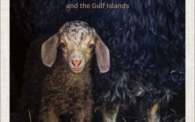 BOOK REVIEW: “Fleece and Fibre: Textile Producers of Vancouver Island and the Gulf Islands” by Francine McCabe